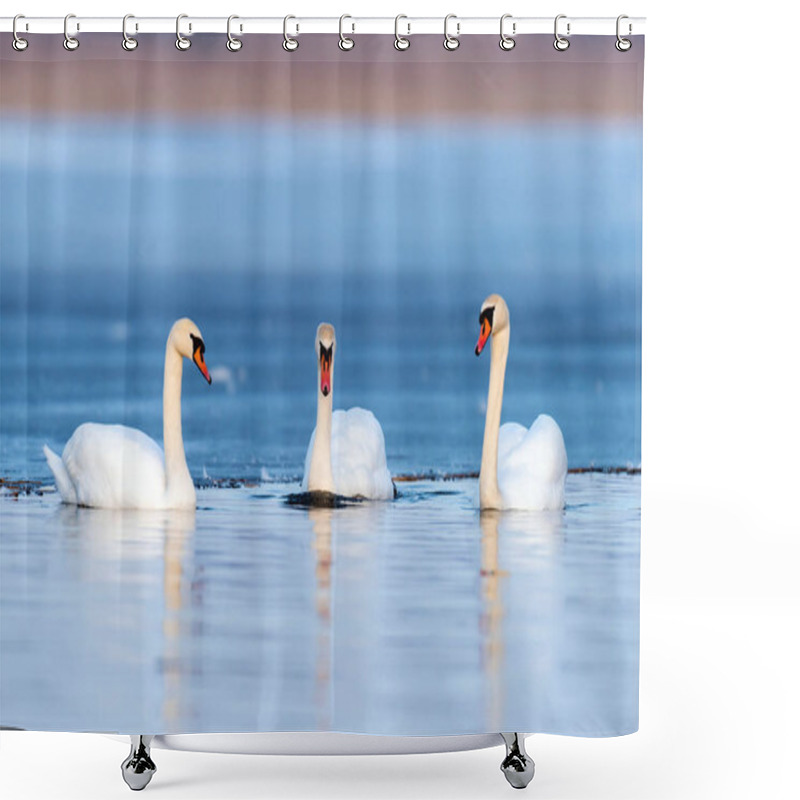 Personality  Three Swans In Lake Shower Curtains