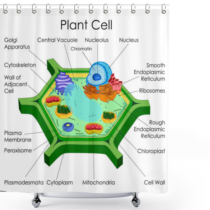 Personality  Education Chart Of Biology For Plant Cell Diagram Shower Curtains