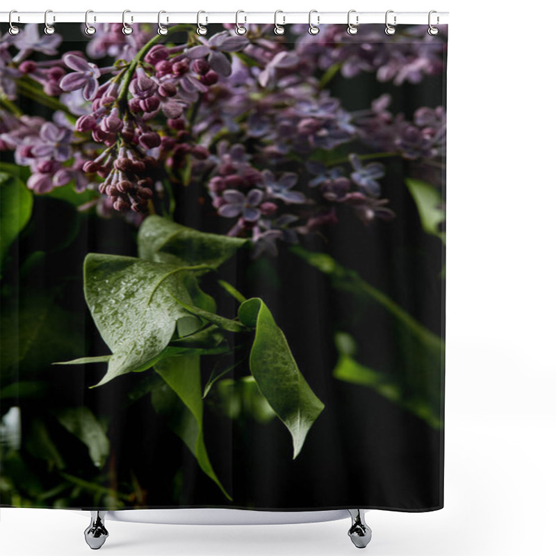 Personality  Close-up Shot Of Beautiful Lilac Flowers And Leaves Covered With Water Drops Isolated On Black Shower Curtains