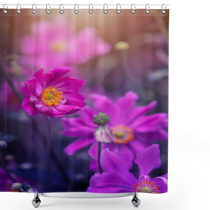 Personality  Anemones, White Flowers On A Sunny Day, Spring Season, Flower, Blurred Background, Front Shot Shower Curtains