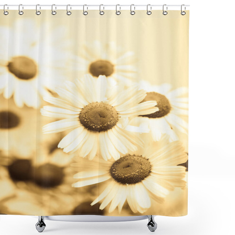 Personality  Chamomile Flowers Toned Yellow Shower Curtains