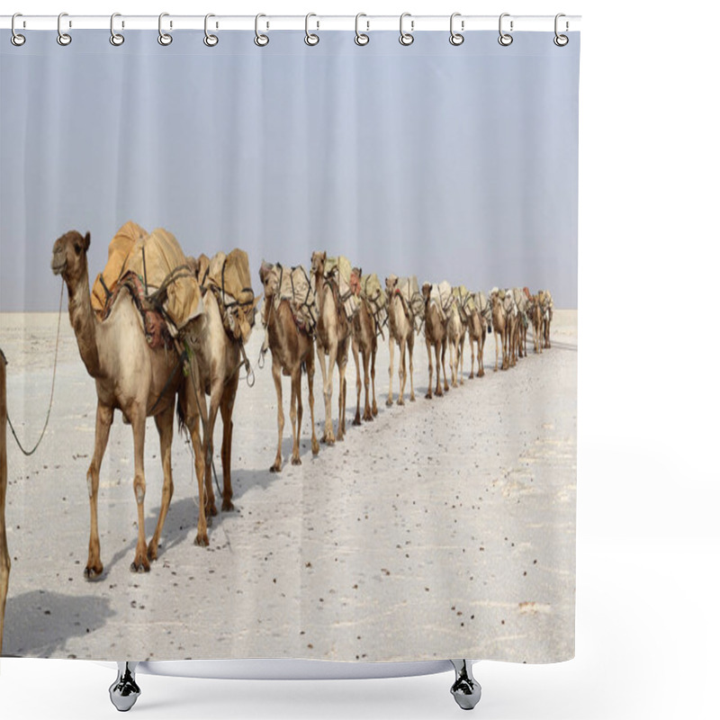 Personality  Camels Caravan Carrying Salt In Africa's Danakil Desert, Ethiopia Shower Curtains