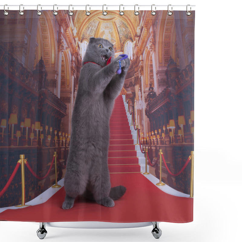 Personality  Important Scottish Fold Cat On The Red Carpet Shower Curtains