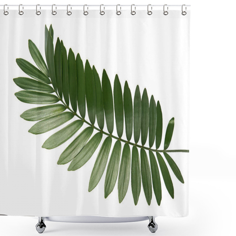 Personality  Cardboard Palm Or Zamia Furfuracea Or Mexican Cycad Leaf  Isolated On White Background, With Clipping Path Shower Curtains