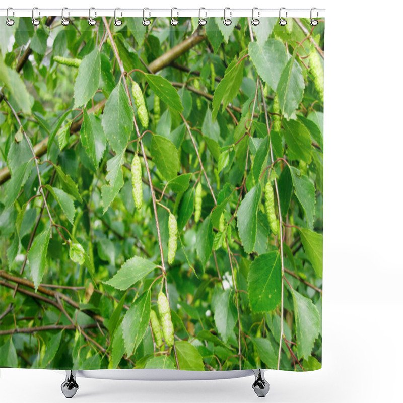 Personality  Branch Of Birch (Betula) With Earrings Summer Shower Curtains