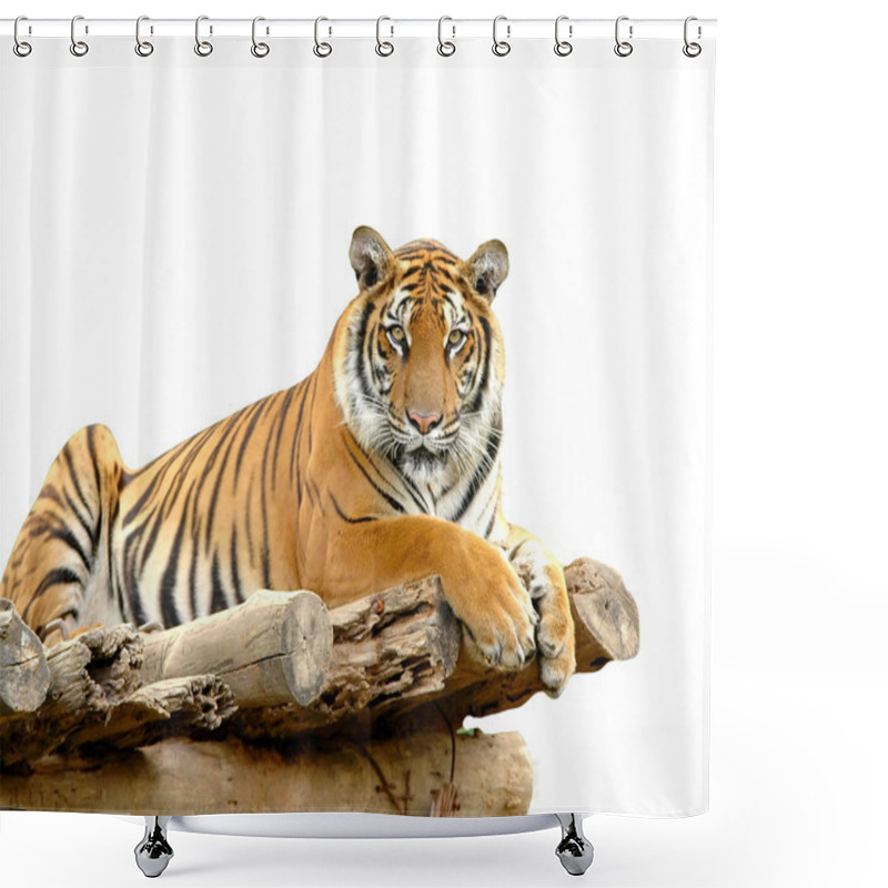 Personality  Bengal Tiger Shower Curtains