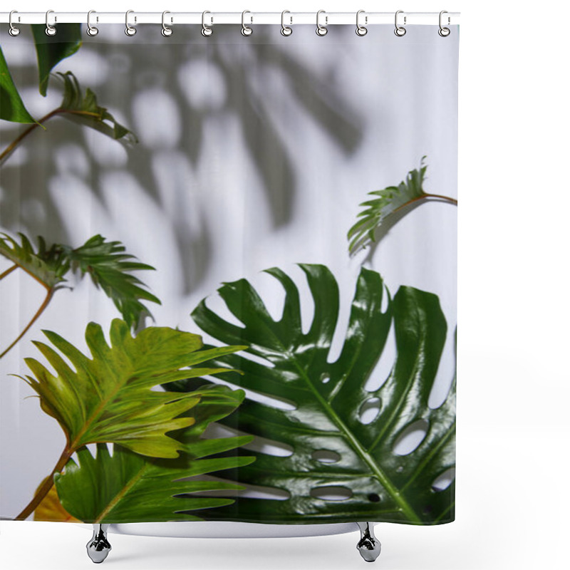 Personality  Fresh Tropical Green Leaves On White Background With Shadow Shower Curtains