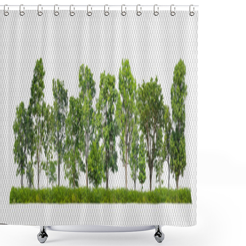 Personality  Green Trees Isolated On Transparent Background Forest And Summer Foliage For Both Print And Web With Cut Path And Alpha Channel Shower Curtains