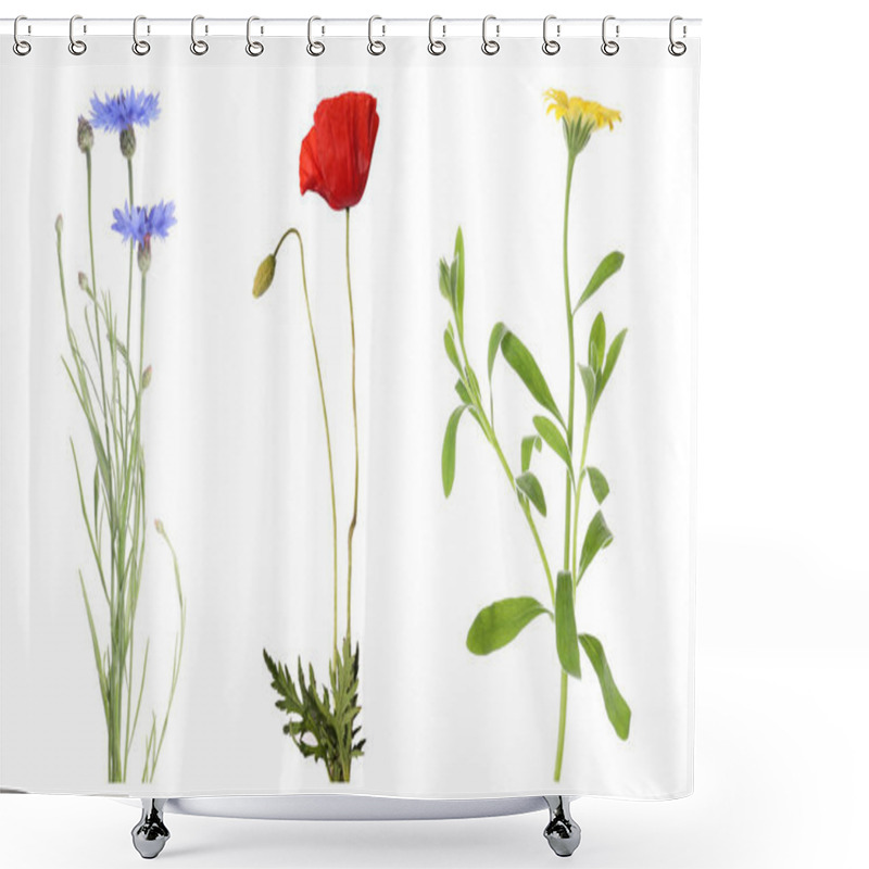 Personality  Collection Of Different Beautiful Wild Flowers On White Background Shower Curtains