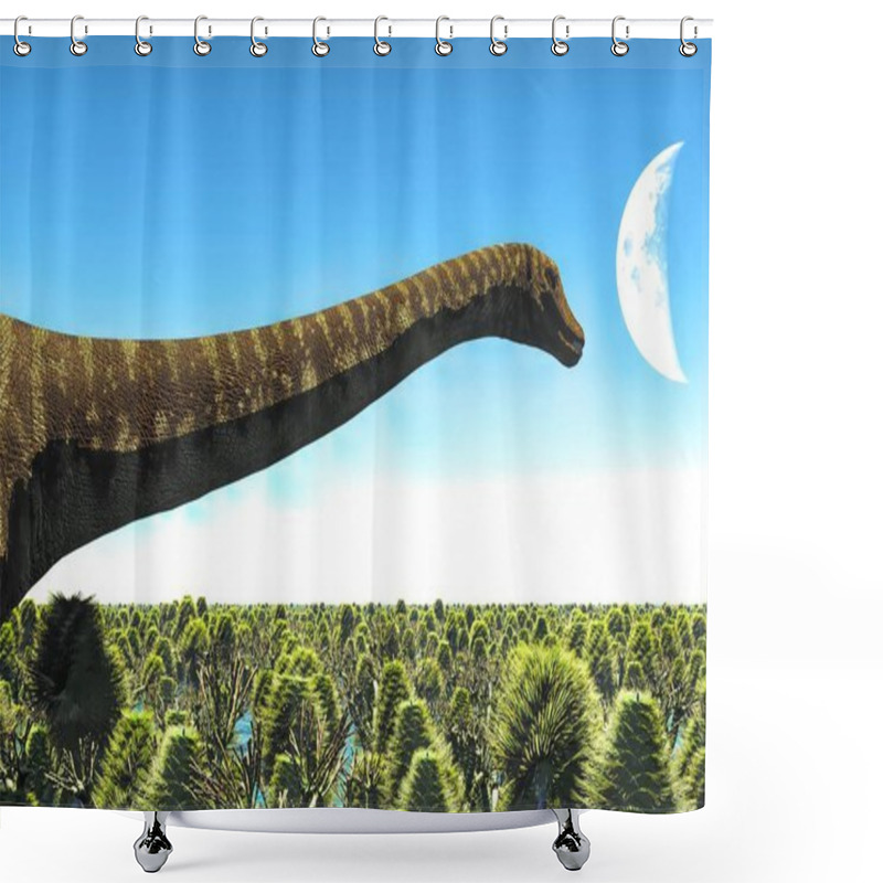 Personality  Huge Diplodocus In Wetland At Sunset, 3d Illustration Shower Curtains