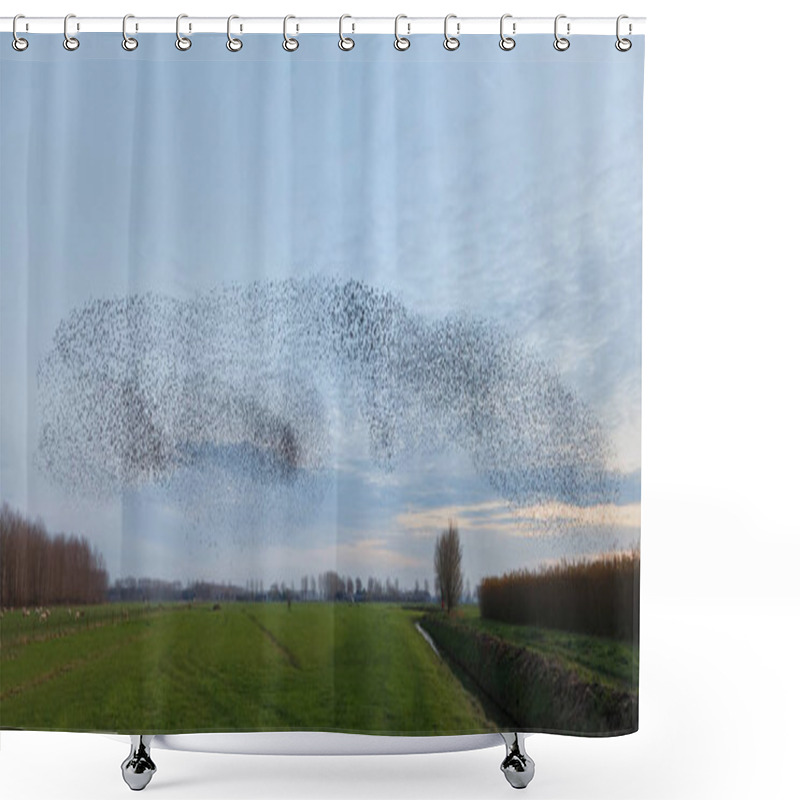 Personality  He Murmurations Of Starlings On Sunset  Shower Curtains