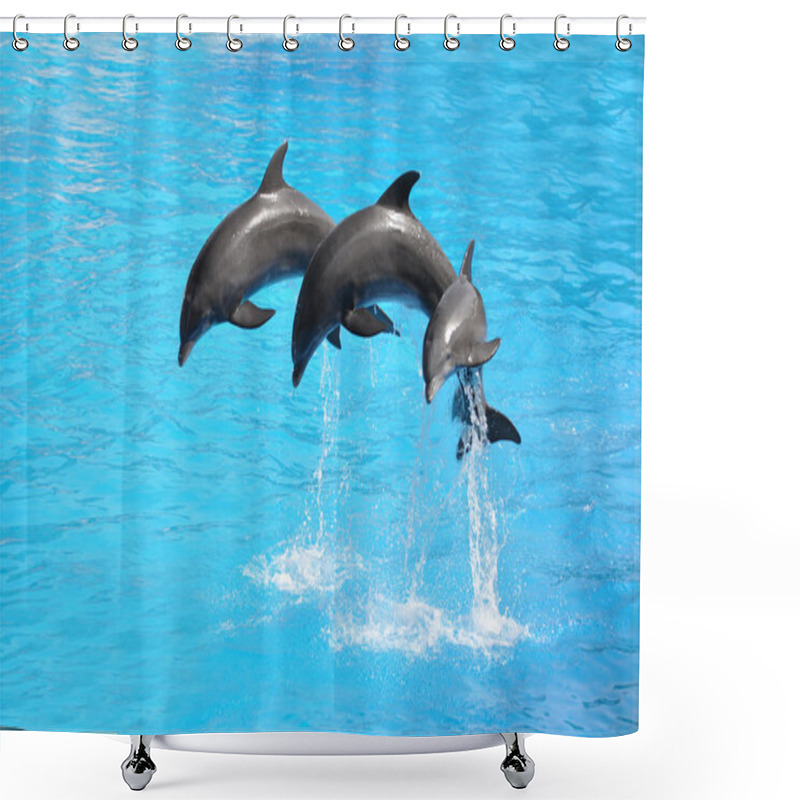 Personality  Three Dolphins Shower Curtains