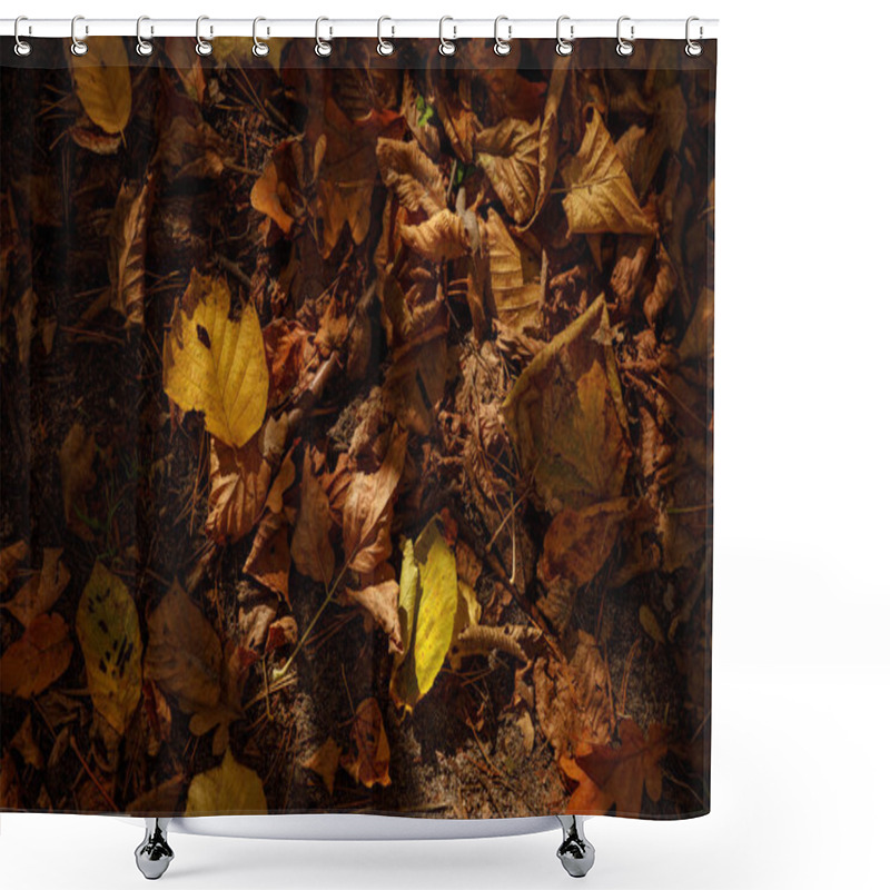 Personality  Top View Of Yellow And Dry Leaves In Autumnal Park At Day  Shower Curtains