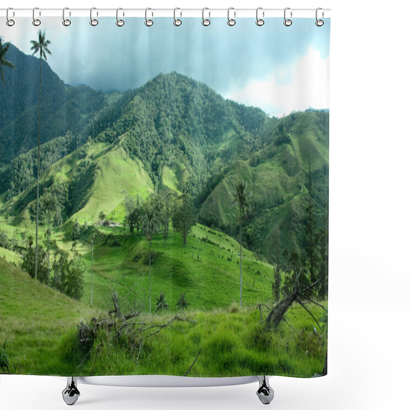 Personality  Cocora Valley, Andean Colombia Shower Curtains