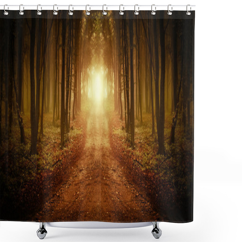 Personality  Road In Symmetrical Forest With Fog At Sunrise Shower Curtains