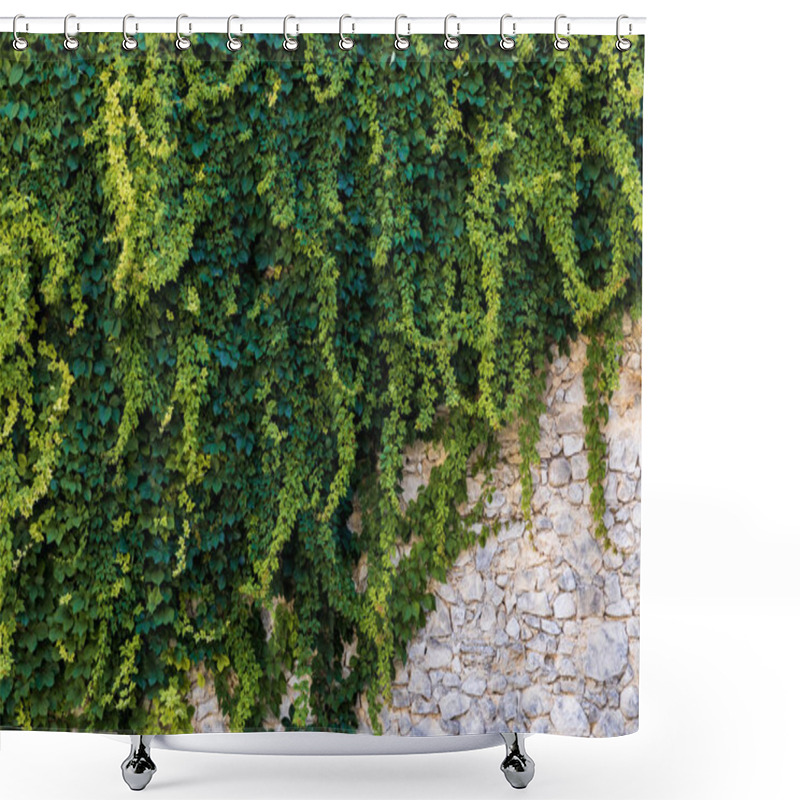 Personality  Green Shower Curtains