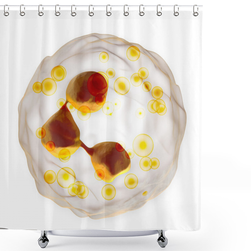 Personality  White Blood Cell - Neutrophil Shower Curtains