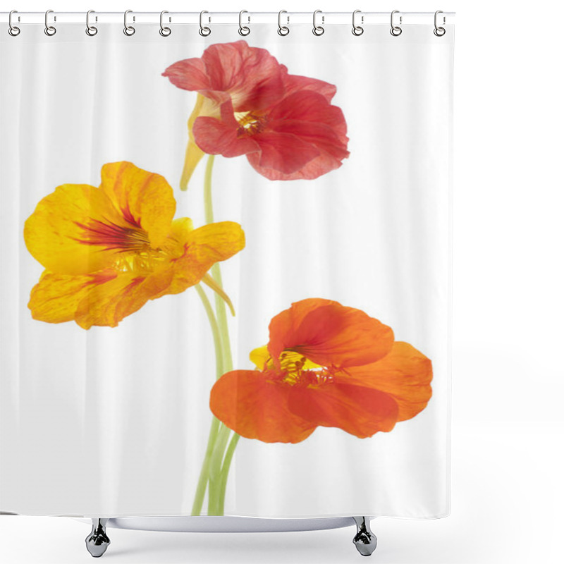 Personality  Nasturtium Shower Curtains