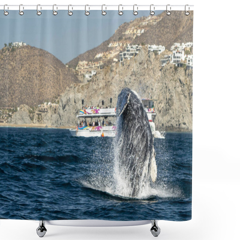 Personality  Humpback Whale Breaching In Cabo San Lucas Mexico Shower Curtains