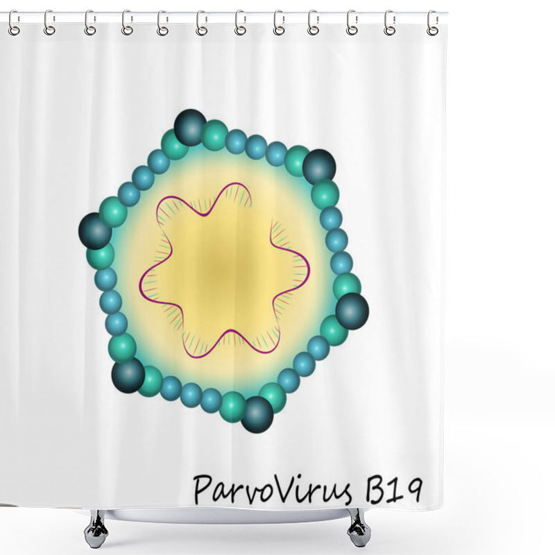 Personality  Parvovirus B19 Particle Structure Shower Curtains