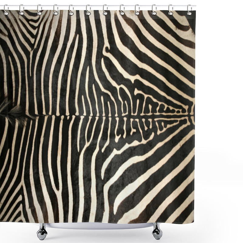 Personality  Macro Picture Of A Zebra Skin Texture As A  Background Shower Curtains