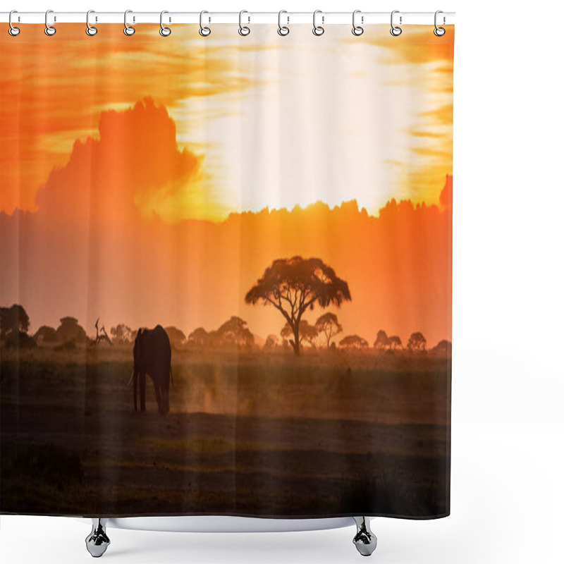 Personality  Lone Elephant Walking Through Amboseli National Park At Sunset, Against A Backdrop Of Dust And Acacia Tress.  Shower Curtains