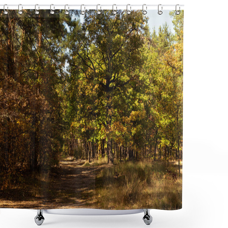 Personality  Scenic Autumnal Forest With Golden Foliage And Path In Sunlight Shower Curtains