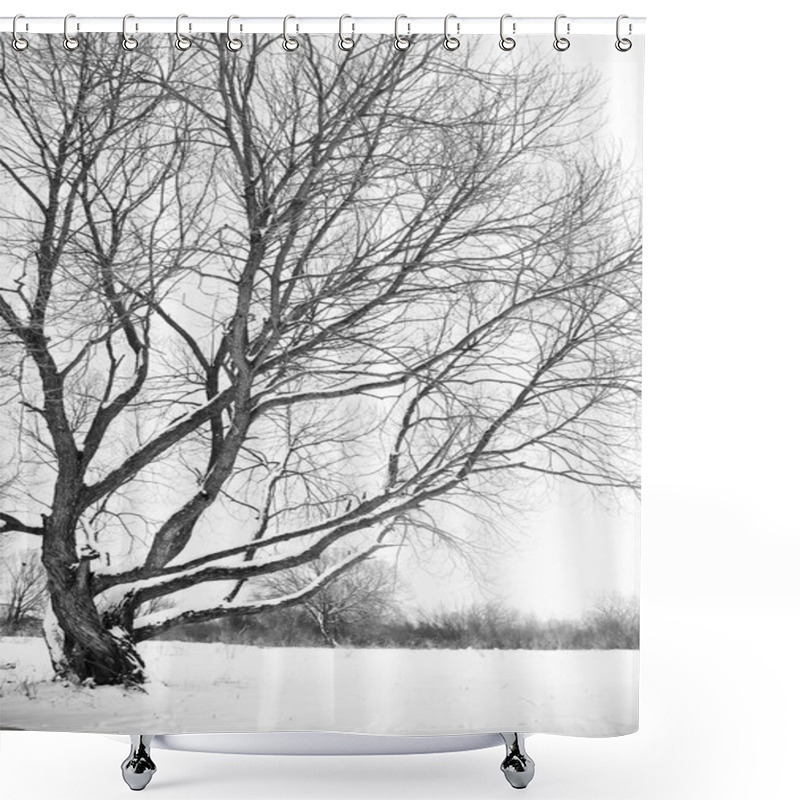 Personality  Tree In Winter Season. Shower Curtains