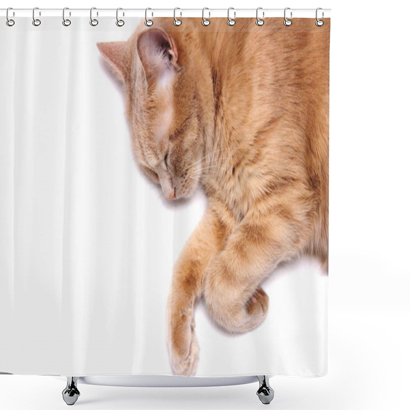 Personality  A Sleeping Red Cat Is Isolated On A White Background. Close Up. Euthanization Of Pets. Anesthesia For Animals. Shower Curtains