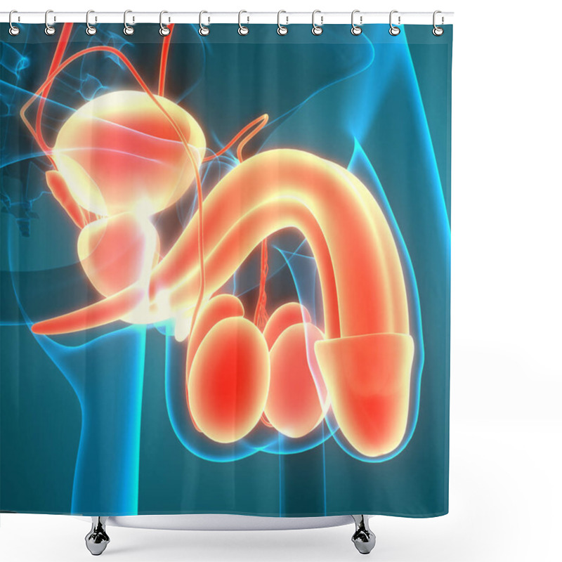 Personality  Male Reproductive System Anatomy. 3D Shower Curtains