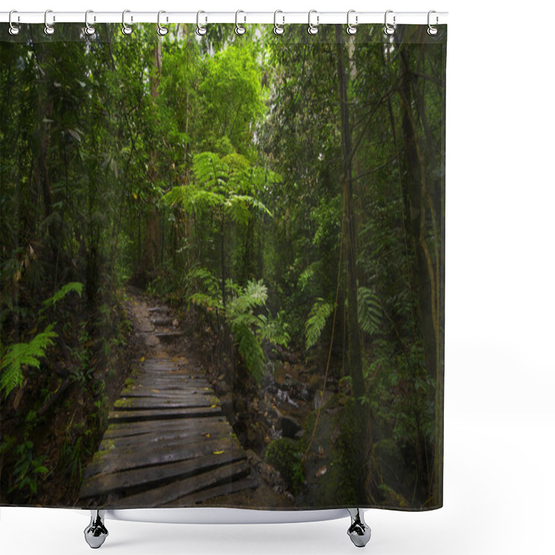 Personality  Tropical Rain Forest In Asia Shower Curtains