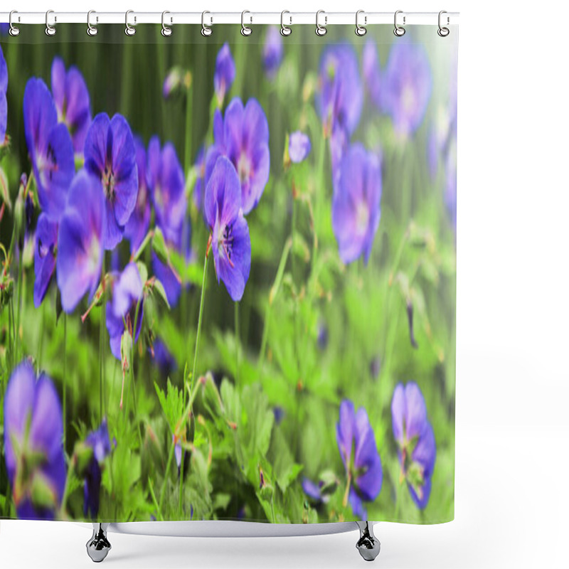 Personality  Wild Geranium. Spring Summer Flowers, Sunny Day, Sunray. Cultivation, Selection Of Flowers Geranium Shower Curtains