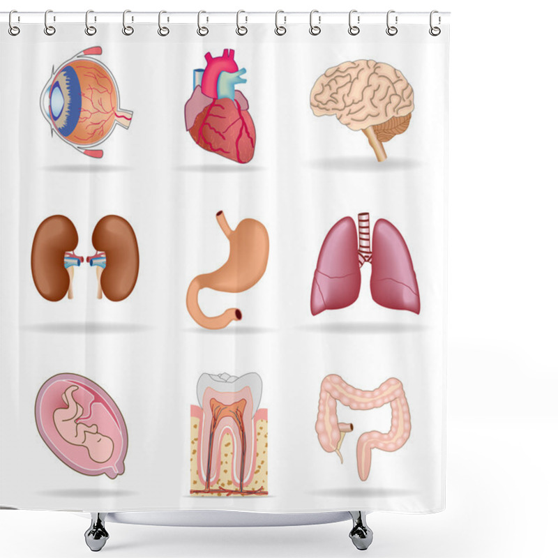 Personality  Human Organs Shower Curtains