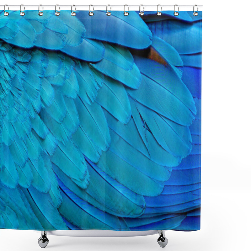 Personality  Close Up Of Blue Macaw Birds Feathers Background And. Shower Curtains