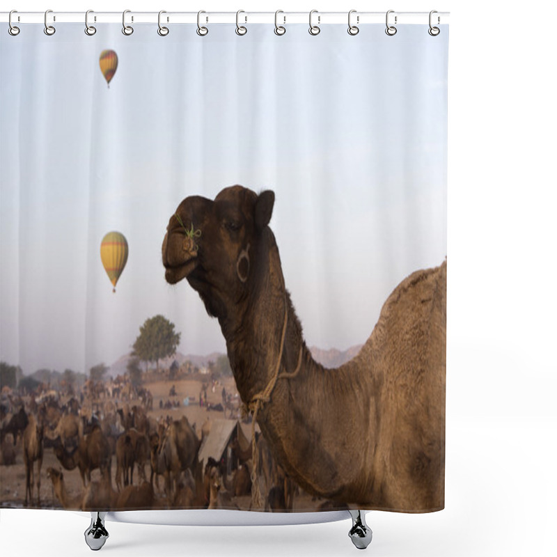 Personality  Camels With Hot Air Balloons Shower Curtains