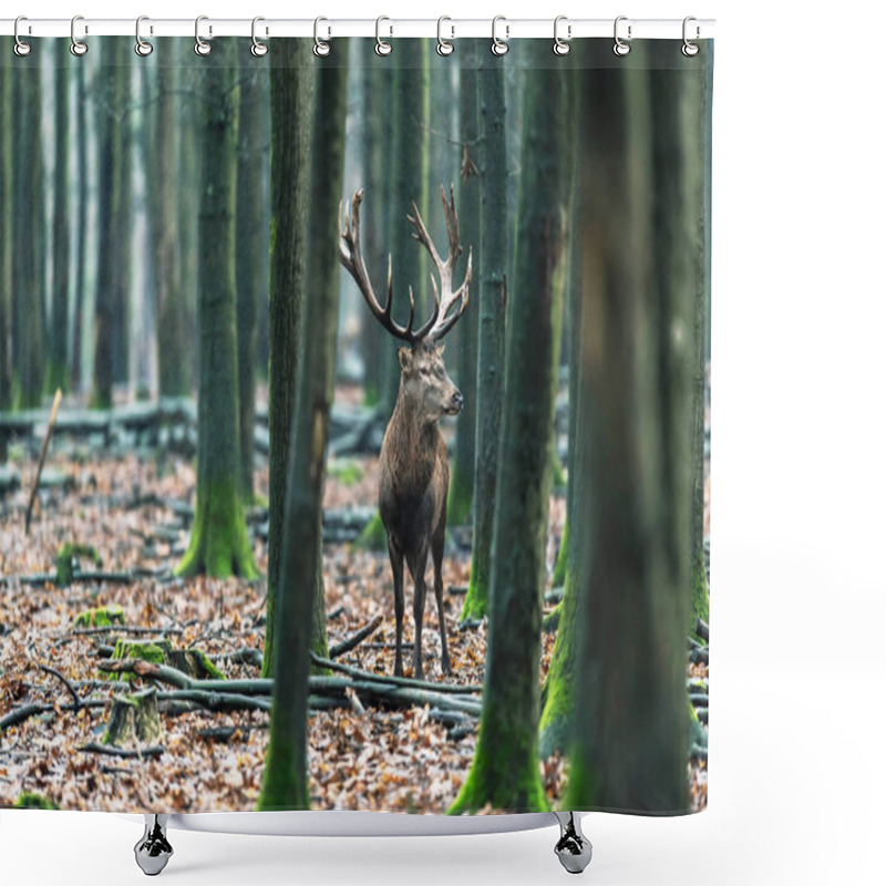 Personality  Deer Between Trees In Forest Shower Curtains