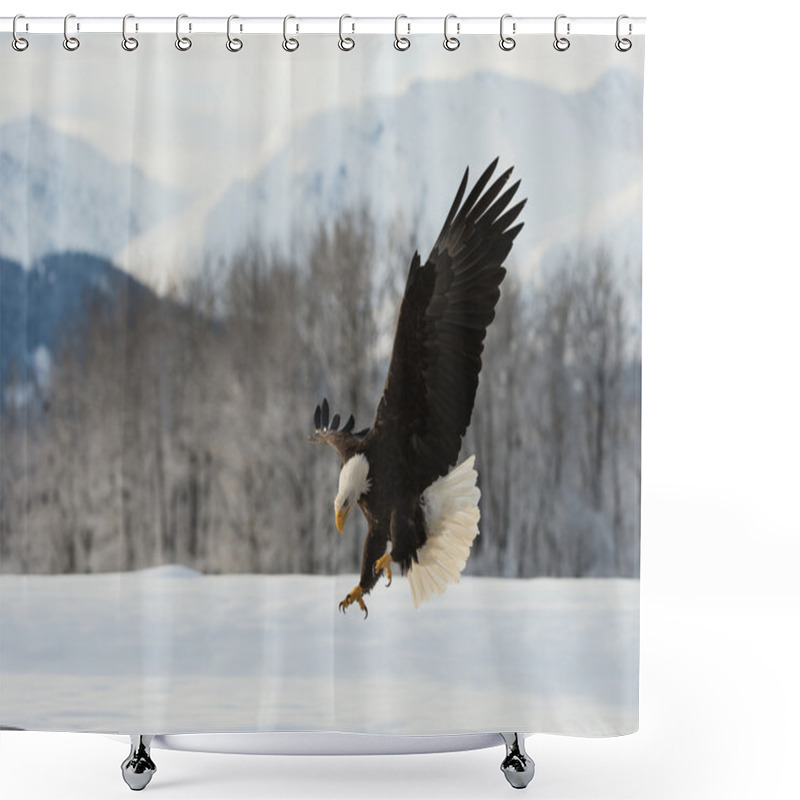 Personality  The Bald Eagle Landing Shower Curtains