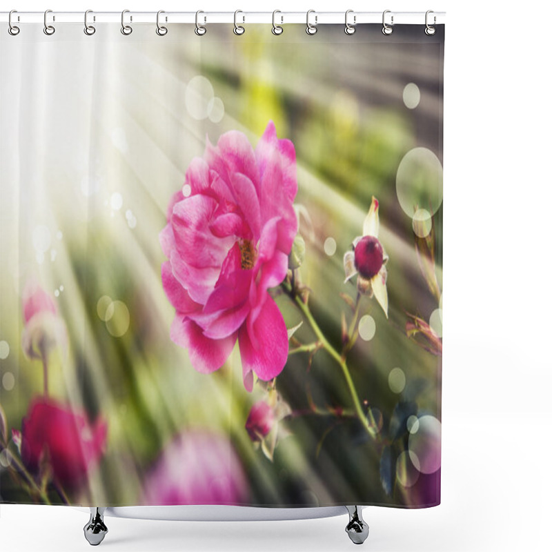 Personality  Red Pink Rose Shower Curtains