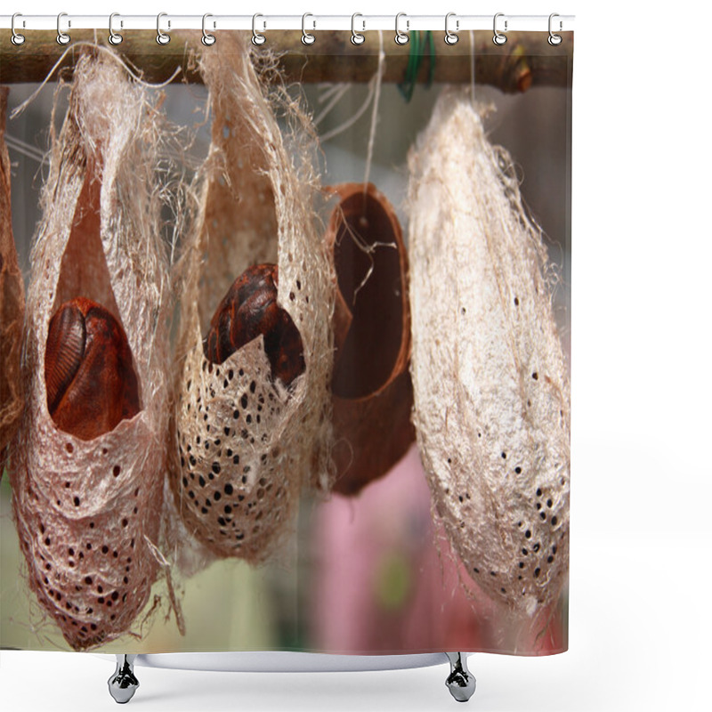 Personality  Butterfly Pupa Shower Curtains