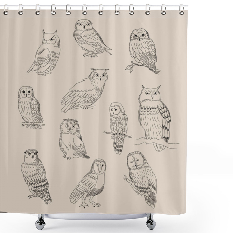 Personality  A Set Of Cute Different Species Of Owls Shower Curtains