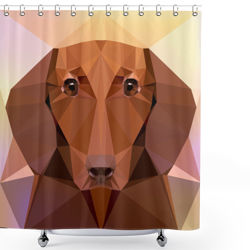 Personality  Face Of A Dachshund Dog Shower Curtains