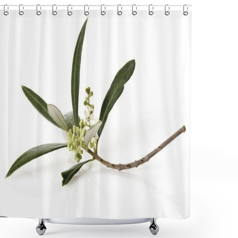 Personality  Branch Of Olive Flowers At White Background  Shower Curtains