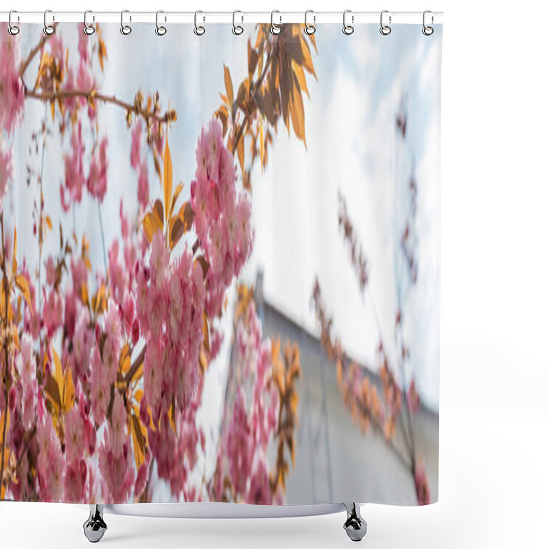 Personality  Low Angle View Of Blooming And Pink Cherry Tree Near Building, Banner Shower Curtains