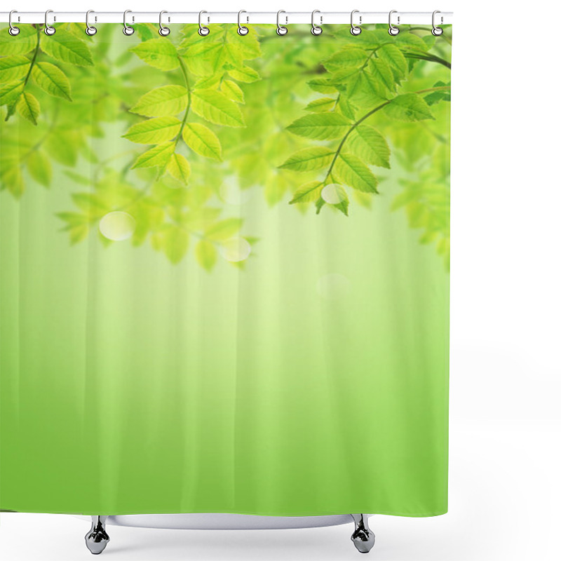 Personality  Postcard With Fresh Green Foliage Shower Curtains