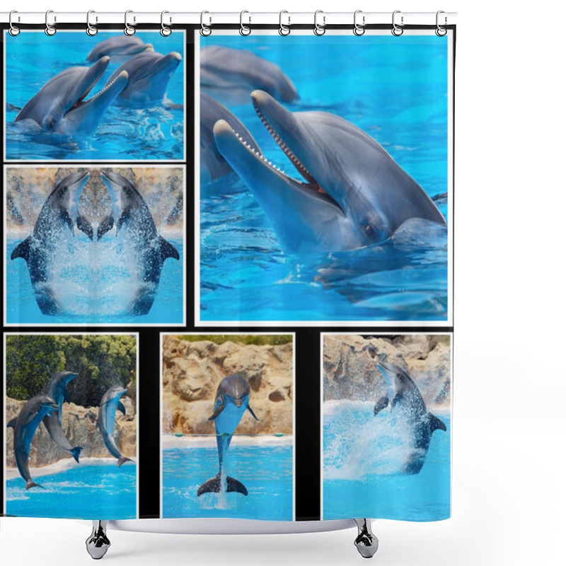 Personality  Collage Of Photos Of Dolphins In A Show Shower Curtains