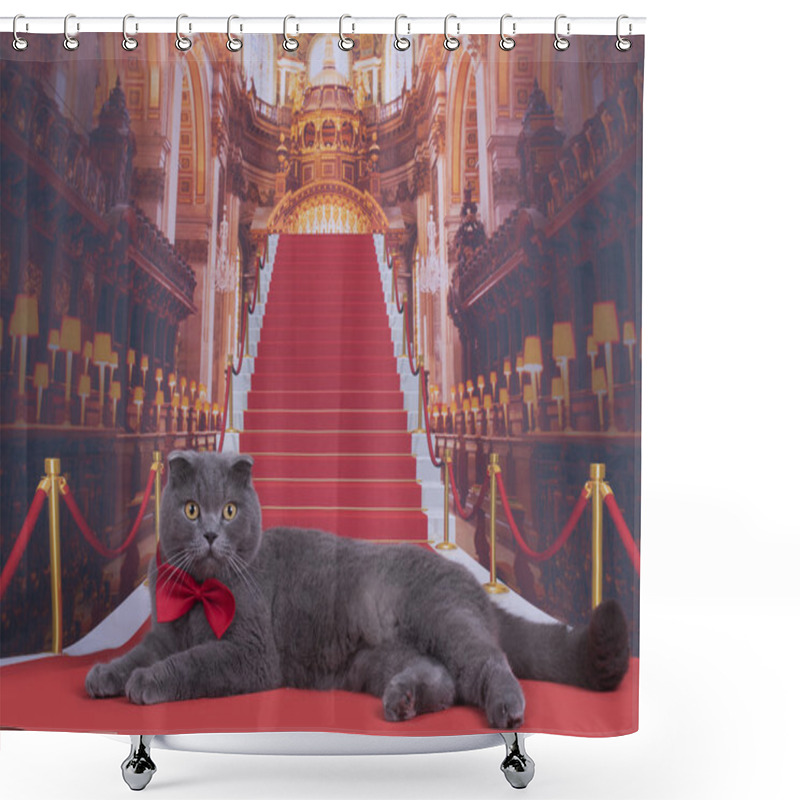 Personality  Important Scottish Fold Cat On The Red Carpet Shower Curtains