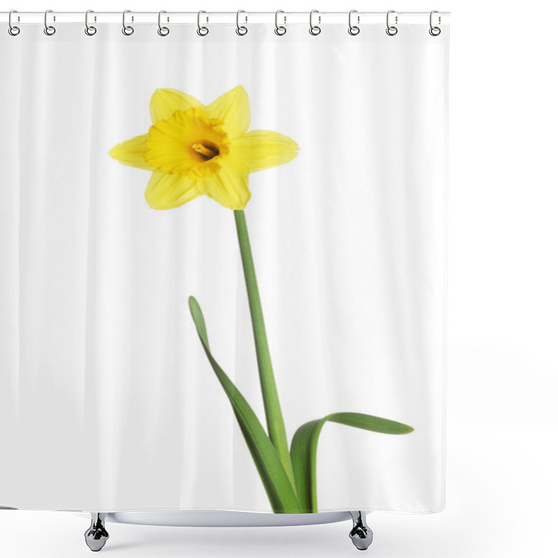 Personality  Daffodil Shower Curtains