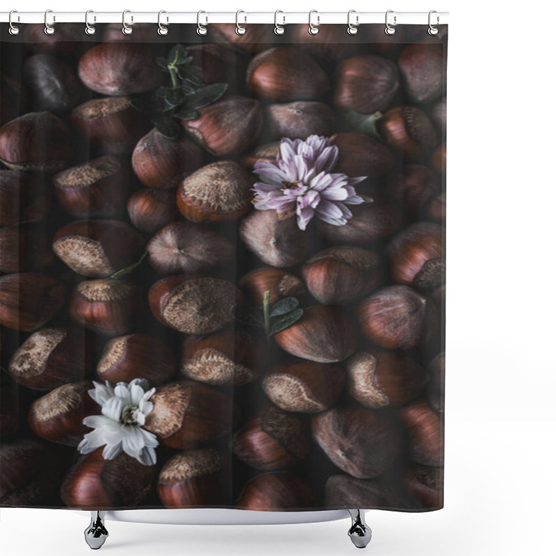 Personality  A Beautifully Arranged Autumn Still Life Combining Dried Flowers And Rustic Hazelnut Shells, Captured With Warm Lighting To Evoke A Cozy Seasonal Atmosphere Shower Curtains