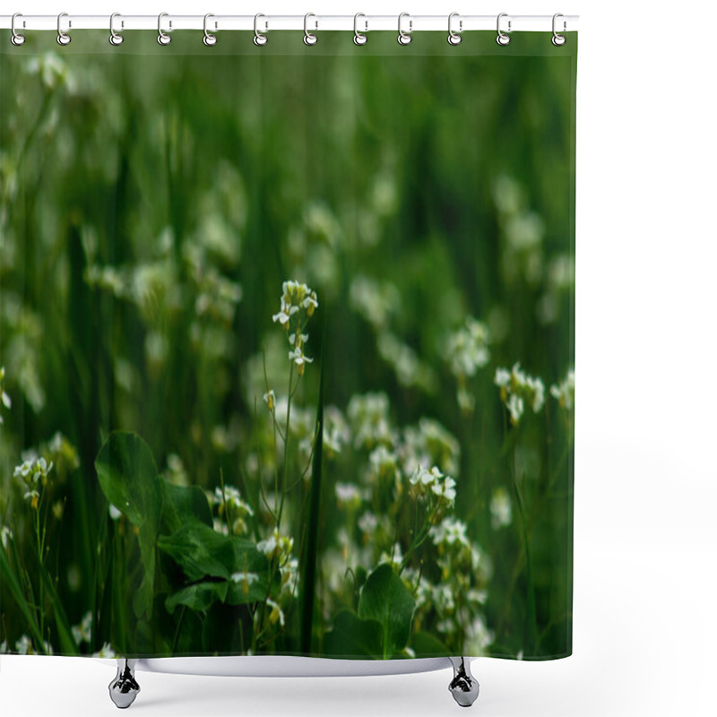 Personality  Delicate White Flowers Scattered Among Vibrant Green Grass, Capturing The Simplicity And Beauty Of Nature In A Peaceful Outdoor Setting Shower Curtains