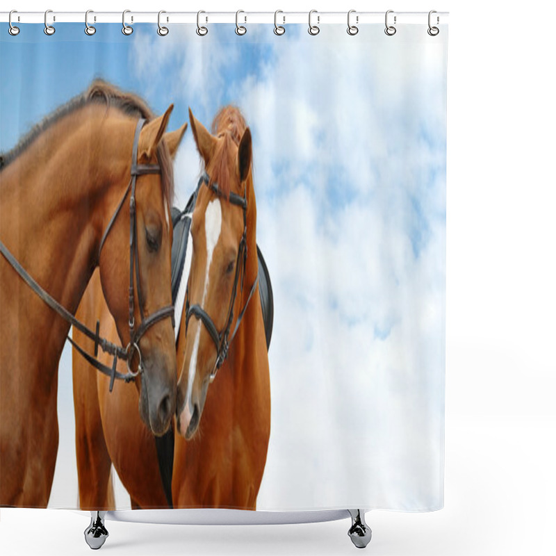 Personality  Two Sorrel Horses Shower Curtains